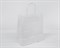 Пакет бумажный, 25х22х12 см, с кручеными ручками, белый У0703034 - фото 11602