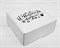 УЦЕНКА Подарочная коробка «С Новым Годом», 20х20х9 см, из плотного картона, белая У1208058-УЦ - фото 15067
