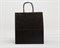 Пакет бумажный, 31х28х14 см, с кручеными ручками, черный У0703024 - фото 9593